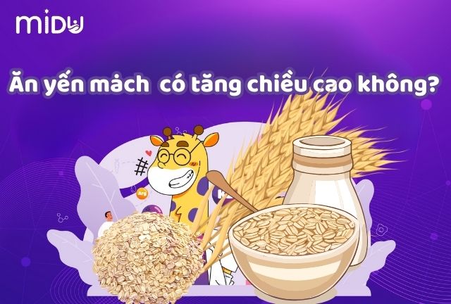 Tăng chiều cao – Ăn Yến mạch có tăng chiều cao không?